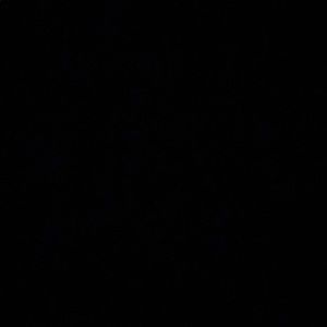 Meet your Posher, Taya